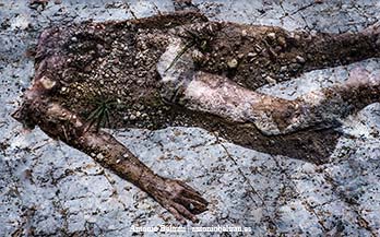 cuerpo muerto podrido pintura abstracta epifania autorretrato collage poesia antonio beltran