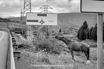 caballo carretera fotografia poesia Antonio Beltran