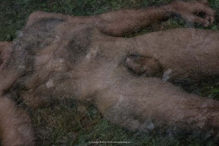cuerpo hombre desnudo sueño naturaleza fotografia desnudo emboscado collage poesia arte antonio beltran