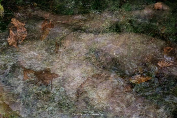 cuerpo hombre desnudo naturaleza fotografia collage poesia arte antonio beltran