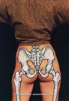 culo femenino huesos erotica desnudo collage dibujo poesia arte antonio beltran
