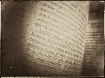 libro abierto La vida daada de Anbal Nez, detalle, imagen defectuosa