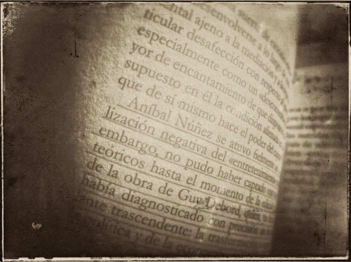 detalle de una pgina del libro de Fernando R. De la Flor, La vida daada de Anbal Nez
