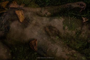 cuerpo hombre desnudo emboscado hierba campo naturaleza erotica autorretrato collage fotografia poesia antonio beltran
